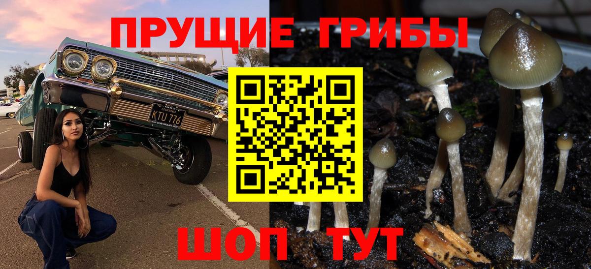 Корсаков  Псилоцибиновые грибы GOLDEN TEACHER  Вход с VPN 